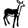 (image for) Deer 076 =
