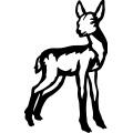 (image for) Deer 079 =
