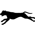 (image for) Dog Running _