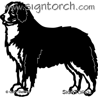 (image for) Bernese Mountain Dog ~