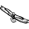 (image for) Bald Eagle 12 =