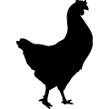 (image for) Chicken 0005 _