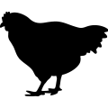 (image for) Chicken 0006 =