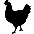 (image for) Chicken 0007 _