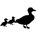 (image for) Duck Family =