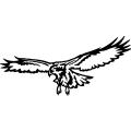 (image for) Hawk 006 =