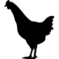 (image for) Hen Standing =
