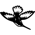 (image for) Hummingbird 007 =