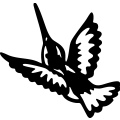 (image for) Hummingbird 008 =