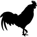 (image for) Rooster 010 =