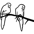 (image for) Two Parrots =
