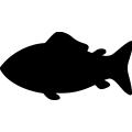 (image for) Fish _