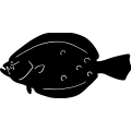 (image for) Flounder ~