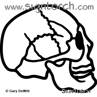 (image for) Human Skull =