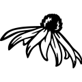(image for) Blackeyed Susan 14 =