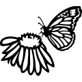 (image for) Butterfly Flower =