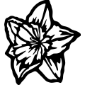 (image for) Daffodil 3 =