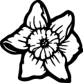 (image for) Daffodil 9 =