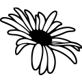 (image for) Daisy 10 =
