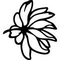 (image for) Daisy 1 =