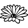 (image for) Daisy 6 =