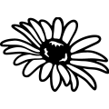 (image for) Daisy 7 =
