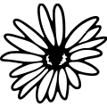 (image for) Daisy 8 =