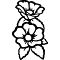 (image for) Flower 030 =