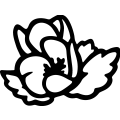 (image for) Flower 035 =