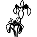 (image for) Iris Flowers 2 =