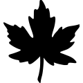 (image for) Maple Leaf _