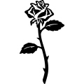 (image for) Rose 002