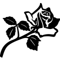 (image for) Rose 004