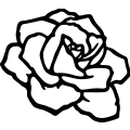 (image for) Rose 008