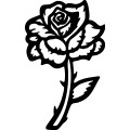 (image for) Rose 018