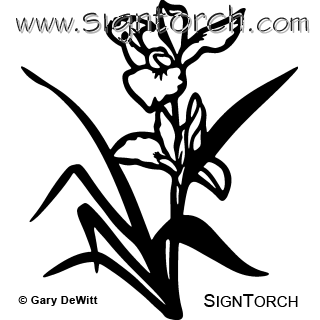 (image for) Iris Flowers 001 =