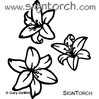 (image for) Lily Flowers ! =