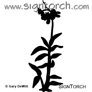 (image for) Orchid =