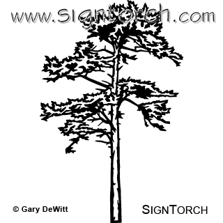 (image for) Pine Tree =