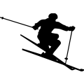 (image for) Skier =