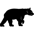 (image for) Bear Walking 442 ~