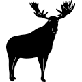 (image for) Bull Moose 163 ~
