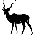 (image for) Kudu ~