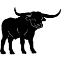 (image for) Longhorn Bull 003 ~