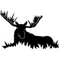(image for) Moose Laying 444 ~