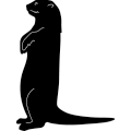 (image for) Otter 449 ~