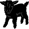 (image for) Pygmy Goat 357 ~