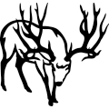 (image for) Stag =