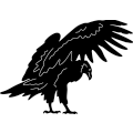 (image for) Eagle 170 ~