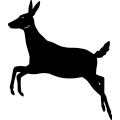 (image for) Deer 284 ~